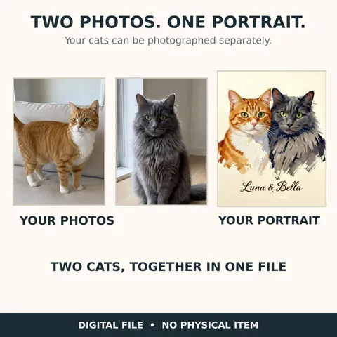 Separate cat photos combined into one painterly portrait