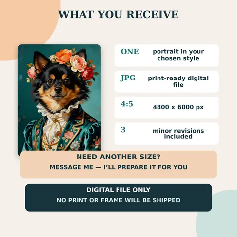 Pomeranian portrait with digital file and format information