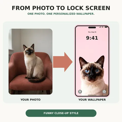Cat photo beside its personalized close-up phone wallpaper