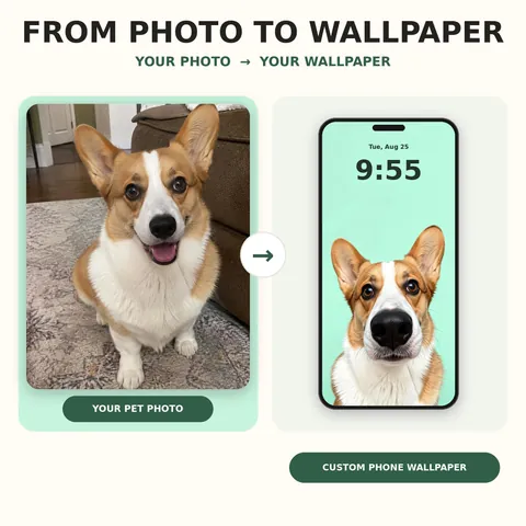 Corgi reference photo beside its big-nose phone wallpaper