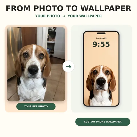 Beagle reference photo beside its big-nose phone wallpaper