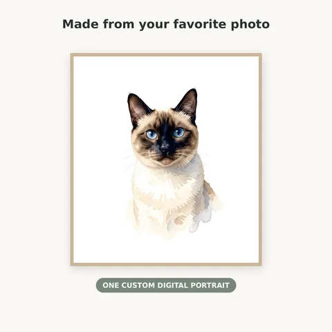 Siamese cat portrait with a soft watercolor finish