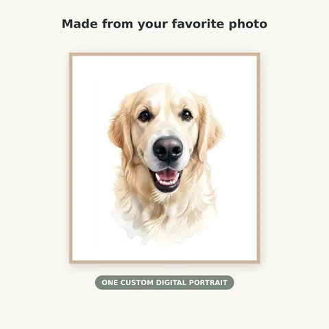 Golden Retriever portrait with a soft painted finish