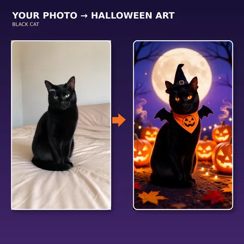 Black cat photo beside a witch-hat Halloween portrait
