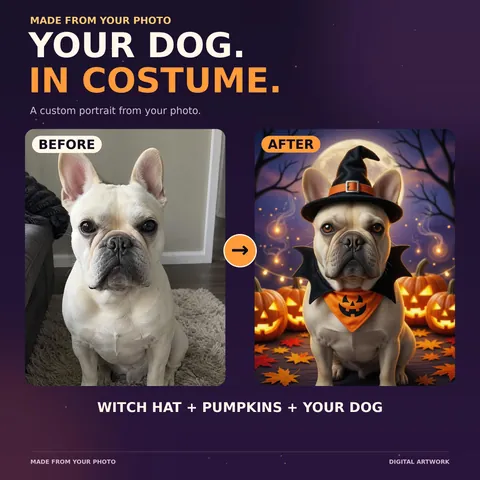 French Bulldog photo beside its Halloween scene